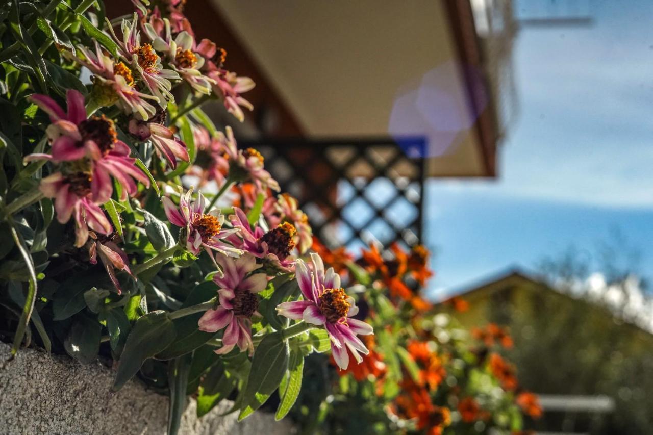 Agriturismo La Rocca San Bartolomeo Al Mare Zewnętrze zdjęcie