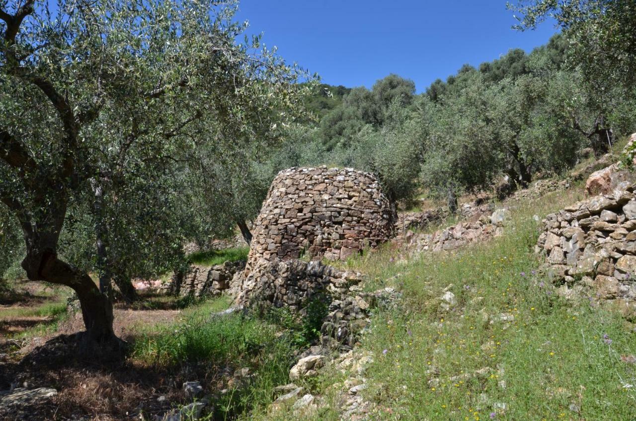 Agriturismo La Rocca San Bartolomeo Al Mare Zewnętrze zdjęcie